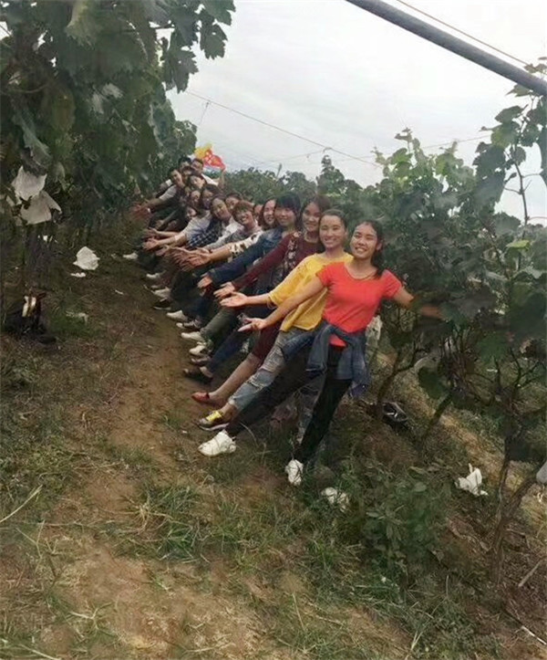 易視界精英們開心合影