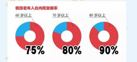 全球致盲的主要原因有哪些？